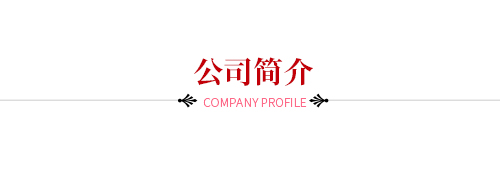公司簡介