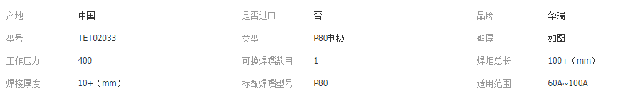 P80電極